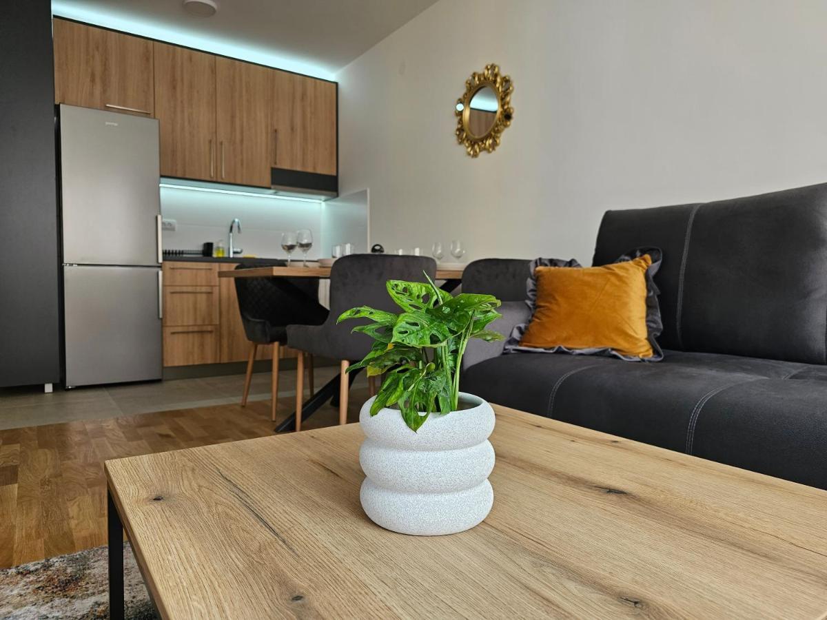 Sun&Moon Apartments Nowy Sad Zewnętrze zdjęcie